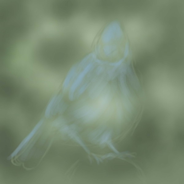 Creation of Little blue bird: Step 2